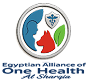EAOHS Logo